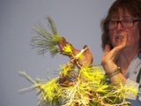 Annual Show 2011 - 35 2011